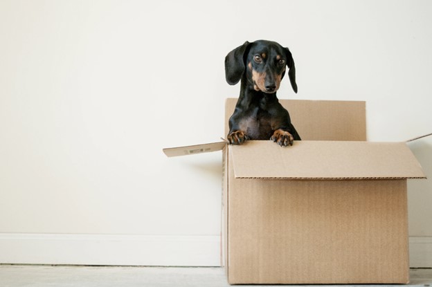 How to Choose the Right Long Distance Moving Company